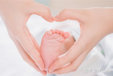 http://nanchang.51dzb.net/post/188.html|南昌新闻中心